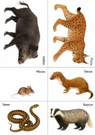 �������� � ������� �������