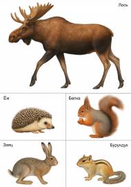 ������ �����. �������� ��� ���