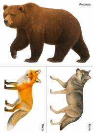 ����� �������� ����. ��������