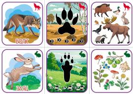 ������ �����, ������������� ����, ���� � ����