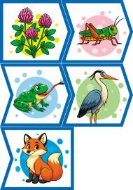 ������� �������. ����