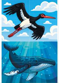 �������� ������� ����� (��������� ��������): ���, ����