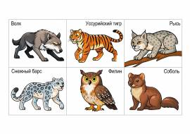 �������� �����. �������� ��� ����