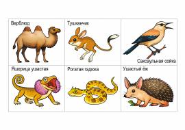 ���� ������ �������� ������: �������� �������