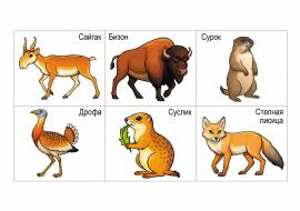 ���� ������ �������� ������: �������� ������