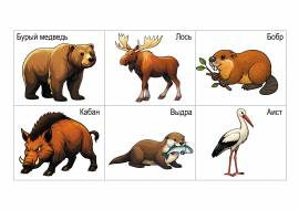 ���� ������ �������� ������: �������� ��������� �����