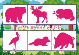 ���� ������ �������� ������: ��������� ���