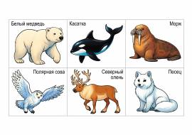 ���� ������ �������� ������: �������� ������� � ������