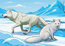 ���� � ���� - �������� ��������