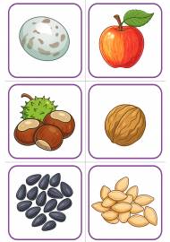 ���� ������ �������� �������