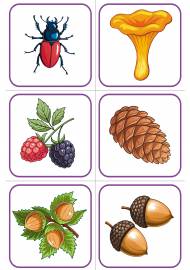 �������� ��� ������ ���� ��� �����