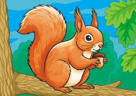 ����� � ����� �����