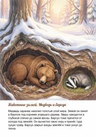 ������� � ������ ���� �����