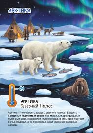 ������ �����: ������� - ����� �������