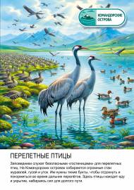 �����������: ���������� �����