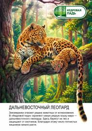 �����������: ��������������� �������