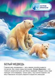 Заповедник: Белый медведь Заповедник: Белый медведь