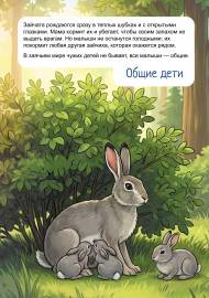 ���-�����. ����������-������ ��� �����