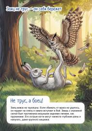 ���� �� ����!. ���������� � ����� ��� �����