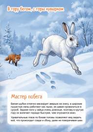 ����-�����. ���������� ��� ����� � ����������