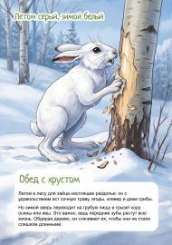 ����-�����. ���������� � �����