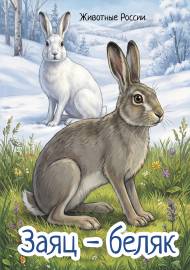 �������� �����-������ ��� �����