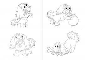 ��������� � ���������