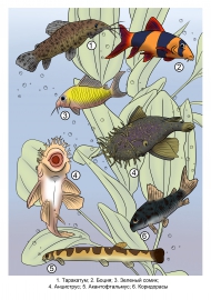 ����������� �����: �������, ����