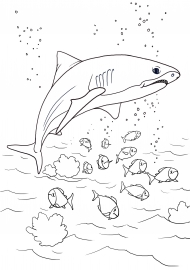 �����. ��������� �� ��������� �������� ���������