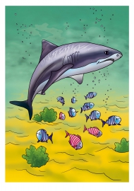 �����. �������� ��� ��������������