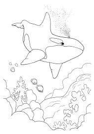 �������� ������� ����������: �������