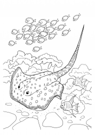 ������� ���������: ����. ���������