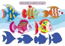 ����� ���� �� �����