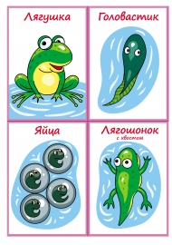 ��������� ���� �������. �������� ��� ����������