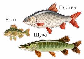 ������������ ����: ���, ������, ����