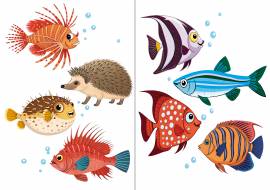 ���� �4 ������ �� ���� �������� ���������