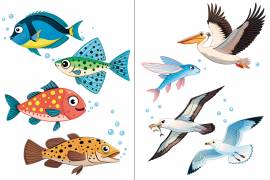 ������� ���������. ���� ������ ������