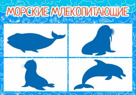 ������� ���������. ���� � �������� ��������������