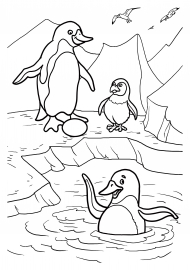 Пингвины. Раскраска