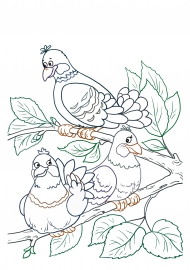 ������. ���������