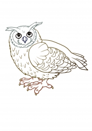 ����. �������� ��� �������������