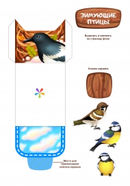 Шаблон кармана для лэпбука «Птицы»