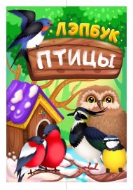 Обложка для лэпбука «Птицы» Обложка для лэпбука «Птицы»