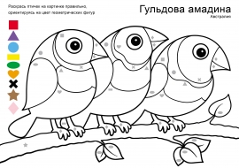 Птицы Австралии. Умная раскраска Птицы Австралии. Умная раскраска