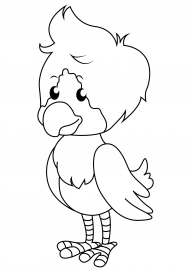 �������