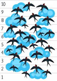 ���� ��������, �������������� ����