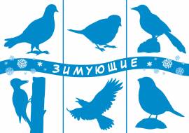 ������� ���� �������: ��������