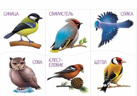 �������� �������� ���� ��� �������� ����