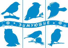 ������� ����. ���� �������� ����