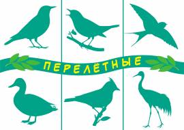 ������� ����. �������� � ����������� �������